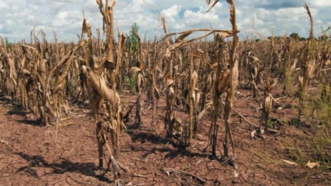 Preocupado por la sequía, el Gobierno anunciará un plan para incentivar la siembra