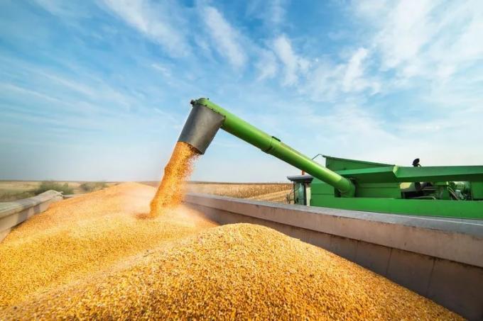 Agroindustria la evolución de las exportaciones de los principales productos