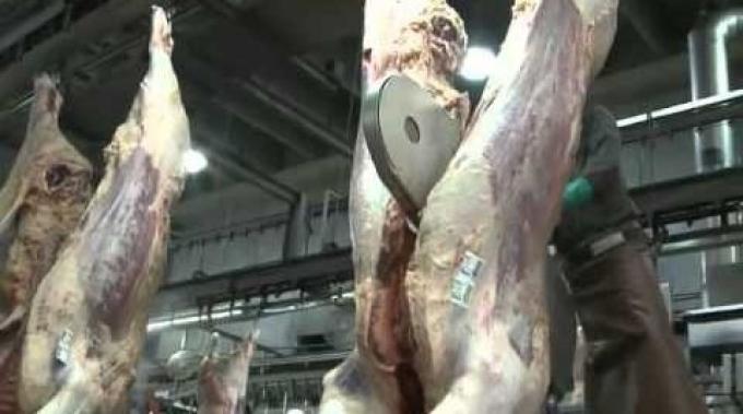 El mismo gobierno que ordena cortar la media res en trozos traba las importaciones de las sierras necesarias para hacerlo