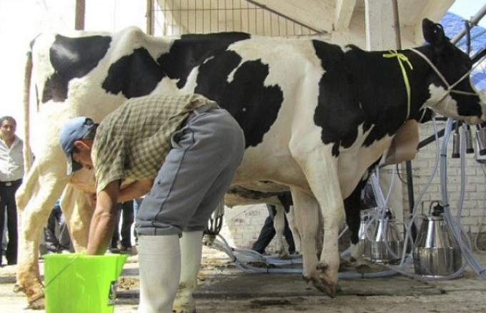 Los tamberos pidieron que el Gobierno apure medidas de ayuda