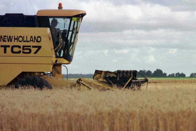 En los últimos dos meses se vendió menos trigo que hace 20 años y se perderán exportaciones por US$1400 millones