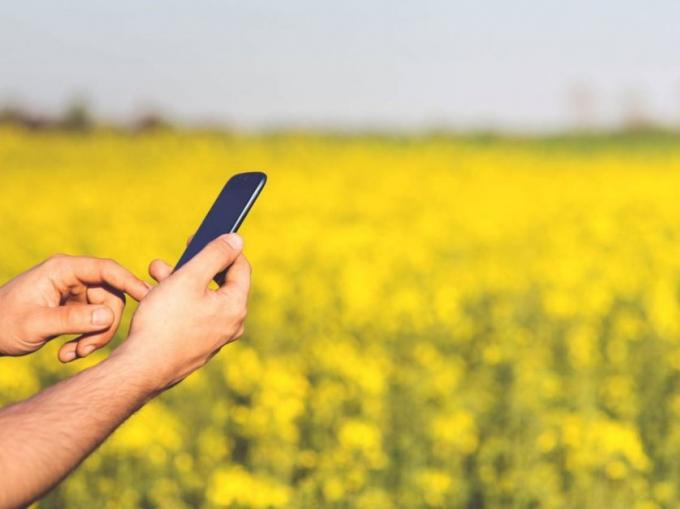 El Senasa lanza un nuevo canal de atención por Whatsapp