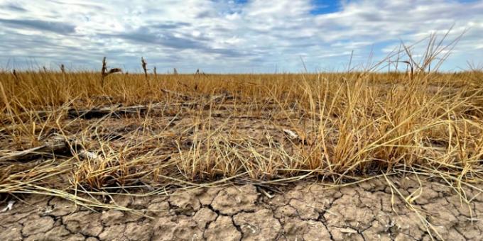Según un informe de los expertos de la Facultad de Agronomía, la sequía severa podría continuar hasta febrero