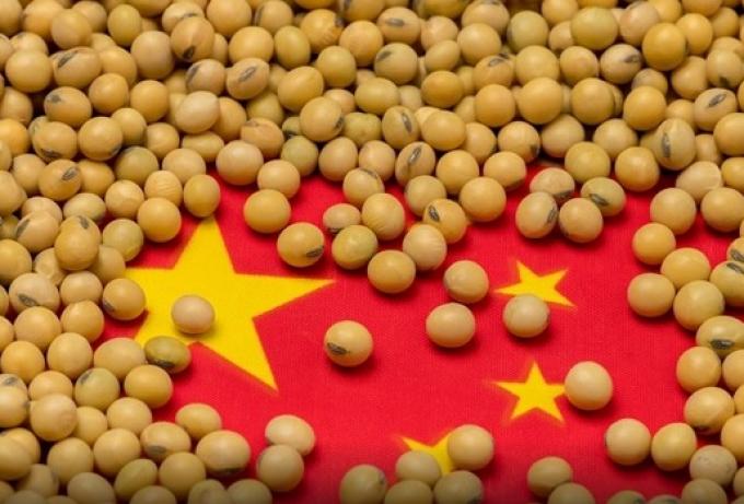 Se detuvo el crecimiento de la demanda china de poroto de soja