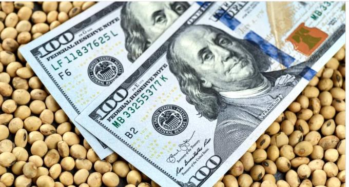Con el Banco Central en sangría y versiones de otro dólar soja el campo tiene para vender más de US$7000 millones