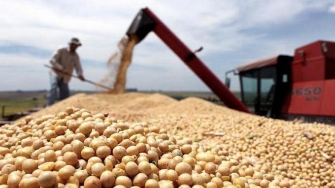 Alerta reservas: el ingreso de divisas del agro caerá más de US$11.000 millones en 2023
