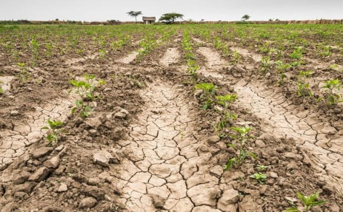 Emergencia agropecuaria en Buenos Aires ya se pueden presentar las declaraciones juradas