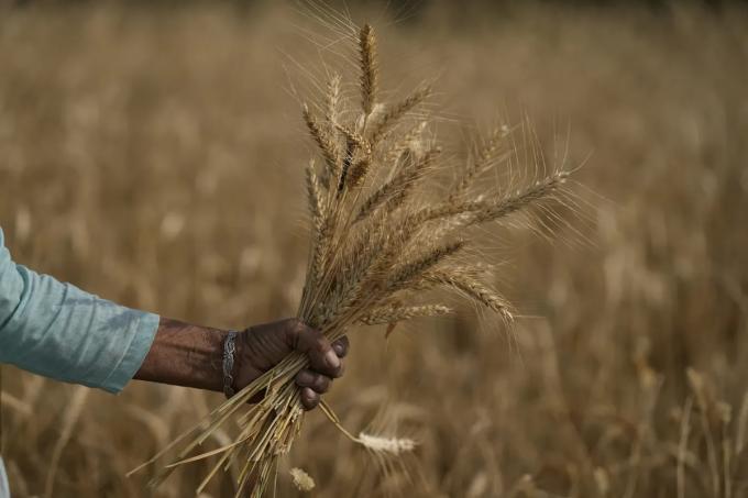 Creció la tensión en la zona del Mar Negro tras la caída de misiles en Polonia y subió el valor de los cereales en Chicago