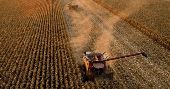 Nuevo récord para la venta de un campo agrícola en Estados Unidos se pagaron 75.000 dólares por hectárea