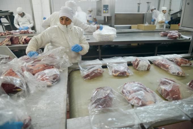 La producción de carne vacuna es la segunda más importante de los últimos cinco años