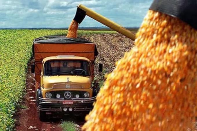 La producción de granos podría encaminarse a partir de las últimas lluvias