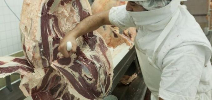 Unica propone implementar el troceo en forma progresiva, empezando con medios mecánicos