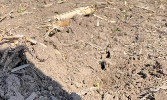 Siguen sin aparecer pronósticos de precipitaciones abundantes que corten la sequía en las zonas afectadas