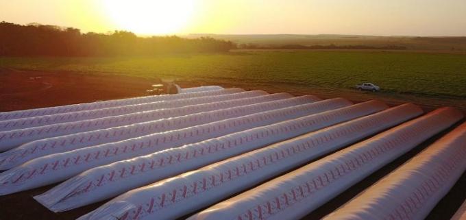 Los productores están vendiendo poca soja y maíz