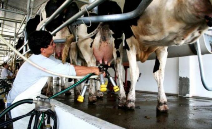 Que nos dejen producir, eso queremos los que producimos leche El reclamo de la FAA a Massa