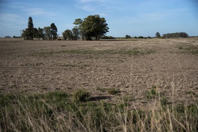La sequía ya es severa en más de 22 millones de hectáreas y golpea a la más importante región