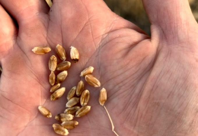 Un informe de CREA advierte que se viene un 2023 durísimo por el desastre climático