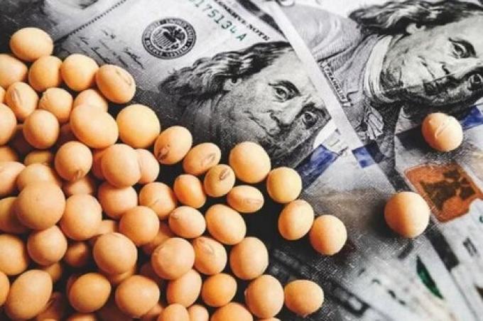 Dolar Soja: Se vendieron más de 1,7 millones de toneladas del grano