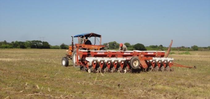 La siembra de sorgo va lenta por la falta de humedad