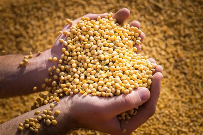 El precio de la soja trepó de 92.000 a 94.000 pesos por tonelada en Rosario