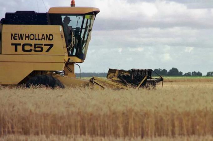 Se derrumbó el ingreso de camiones con trigo a los puertos y este mes se exportará un tercio de 2021