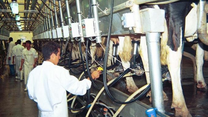 Los tamberos atraviesan un panorama crítico y no ven una salida a la crisis
