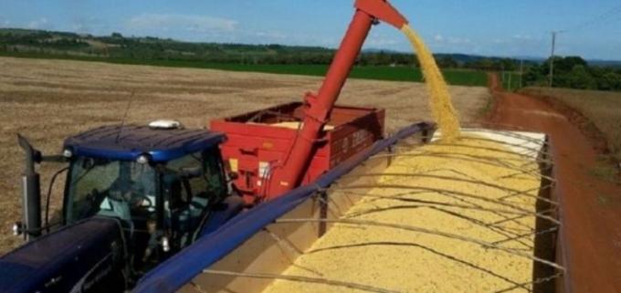 Productores vendieron 77% de la soja y 73% del maíz 2022