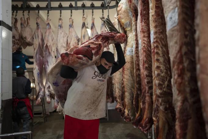 Las provincias piden cambios a una medida para la carne que quiere aplicar el Gobierno