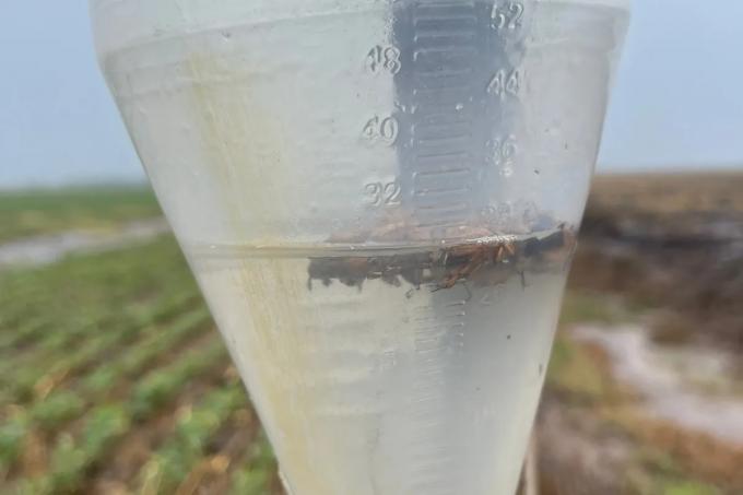 Con lluvias, 2023 empezó mejor para el campo