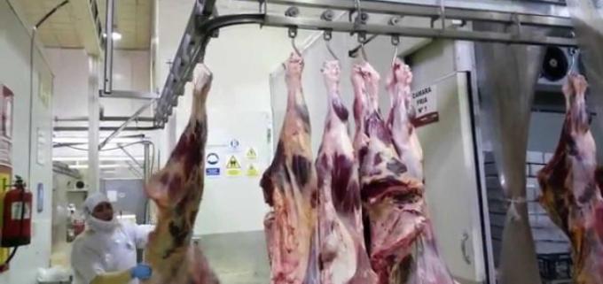  Agricultura propone cambios para que el sistema de troceo de la carne avance en las provincias