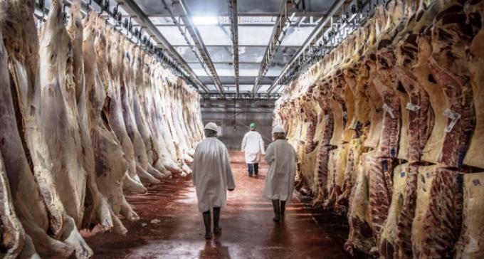 La sequía y la caída de ingresos trajeron riesgos difíciles de afrontar para la cadena de la carne