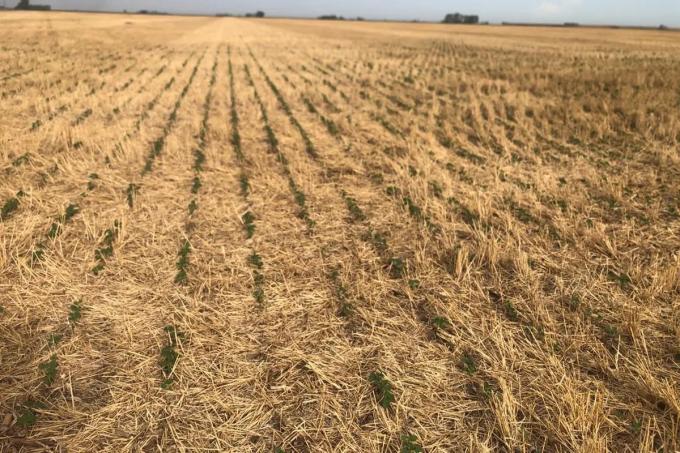 Zona núcleo prevén una normalización de las lluvias en el primer trimestre del año