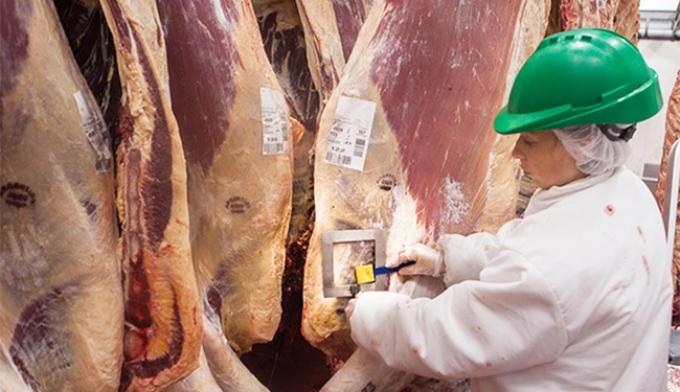 Desde el Consorcio ABC piden mejorar la competitividad exportadora y garantizar el fin de la media res al hombro