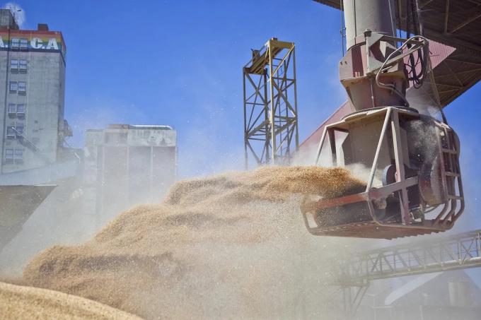 Soja 2022/23: la venta viene muy demorada y estos son los tips para aprovechar