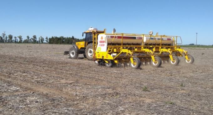 Un 38% de la superficie argentina de soja está en malas condiciones y sigue muy retrasada la siembra por falta de humedad