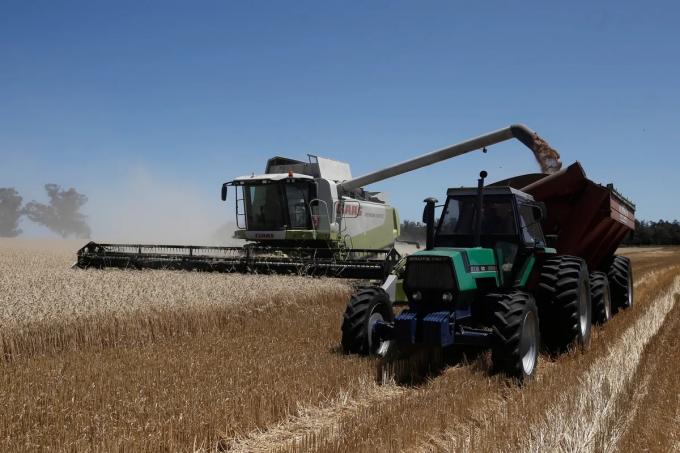 Agroindustria: una oportunidad para crecer en 2023 en todos los frentes