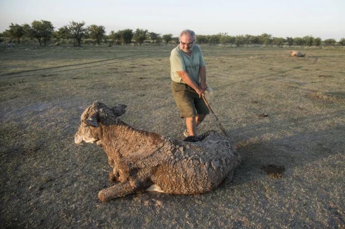 Alertan que subirán los precios de la carne y en frutas y verduras por la sequía