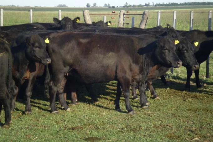 La reconstrucción que será inevitable en los campos ganaderos cuando termine la sequía