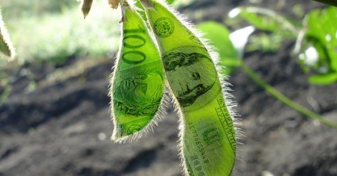 En lo que va de enero, los ingresos por exportaciones agropecuarias fueron solo 596 mill/dol