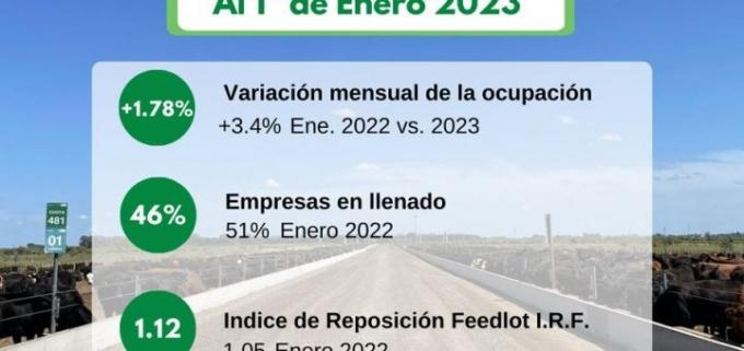 Sube la ocupación de los feedlots por la pérdida de pastos