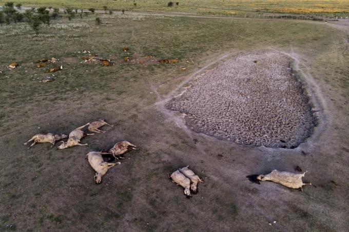 Angustias y penurias en un viaje al corazón de la sequía en el norte de Santa Fe