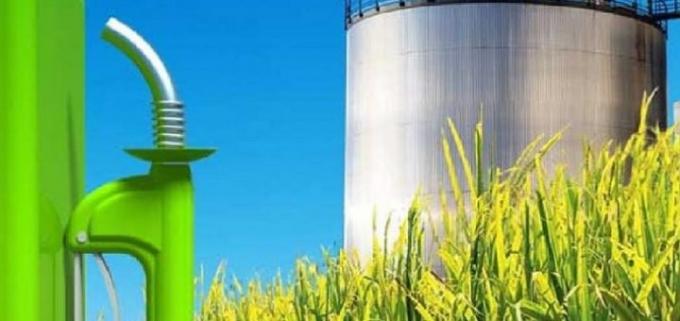 Autorizaron subas de casi 6% en precios de los biocombustibles