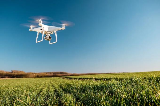 Nuevos desafíos para la agronomía en tiempos de inteligencia artificial