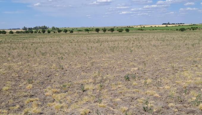 Buenos Aires extendió el estado de emergencia y desastre agropecuario hasta marzo