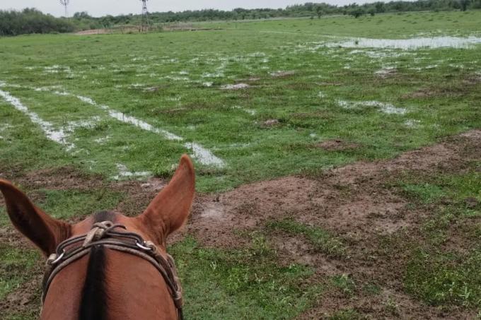 Renace la esperanza después de las lluvias en la zona más castigada del país por la sequía