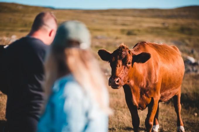 Números en rojo para la Rural hubo una adecuación de los precios de la hacienda y pidió la baja de las retenciones