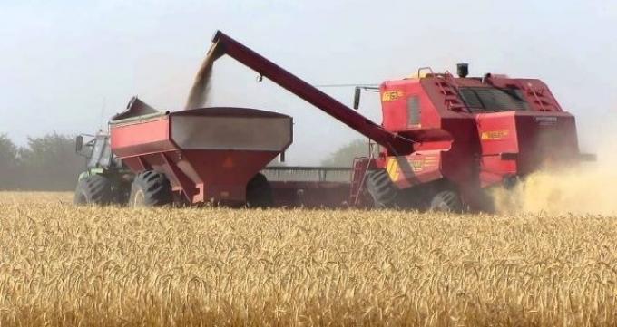  Se retrae la comercialización de trigo 2022/23