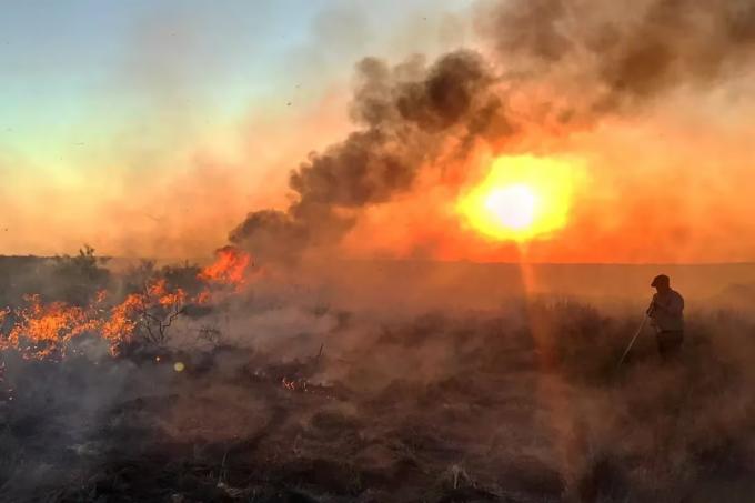 Teníamos dos opciones se le quemó el campo y contó qué lo impulsa a seguir