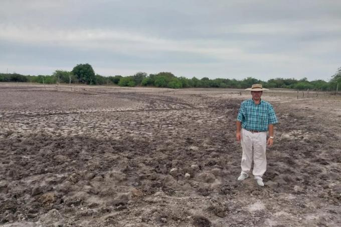 Mi abuela de 93 años nunca vio una cosa igual: los dos golpes que sufrió un productor en pocos meses