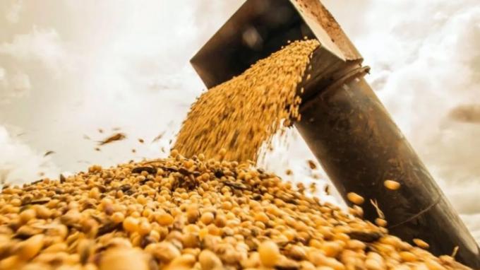 Mermas sobre los núcleos sojeros reducen a 38 Mtn la proyección de producción